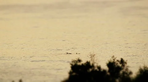 Kayak at sunrise/sunset Stock Footage 2434366