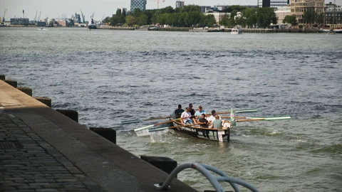 Kayak team paddle on the river Stock-Footage 203429046