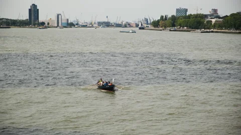 Kayak team paddle on the river Video stock 203432703