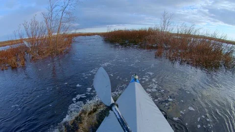 Kayaker does activity sailing on foldboat among brown reeds Stock-Footage 124456082