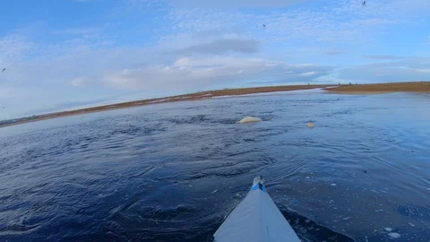 Kayaker does extreme hobby moving on canoe past ice pieces Stock Footage 123697023
