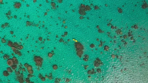 Kayaker exploring turquoise tropical ocean with coral reefs from above Stock Footage 312012091