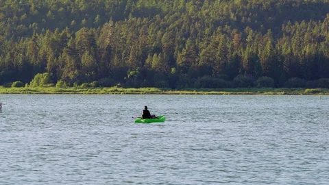 Kayaker on lake in front of pine tree forest on summer day Stock Footage 114628820