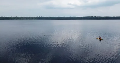 A Kayaker &amp; the Loon Stock Footage 113967558