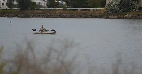 Kayaker paddling Video stock 40050136