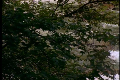 Kayakers 2 Stock Footage 511188