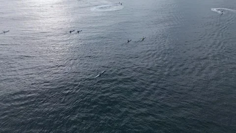 Kayakers Exploring the Ocean at Long Reef Beach, Sydney – Aerial Drone View Stock Footage 305530630