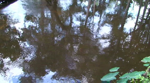 Kayakers Stock Footage 536562