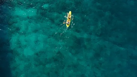 Kayakers  Stock Footage 99775664