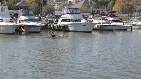 Kayakers paddling in harbor Stock Footage 68446891