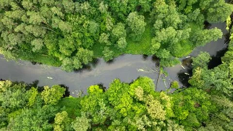 Kayaking along a wild river during Polish summer, aerial. Stock Photos