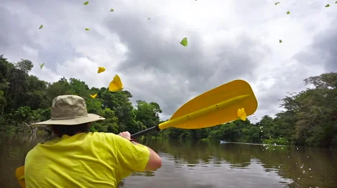 Kayaking in the Amazon Stock Footage 51678619