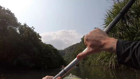 Kayaking amongst the mangroves. Stock Footage 107690575