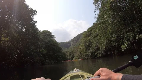 Kayaking amongst the mangroves. Stock Footage 107690620