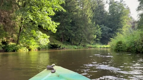 Kayaking on a beautiful river Stock Footage 249074339