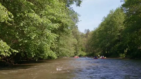 Kayaking on a Calm River in Summer With Friends Enjoying Nature 스톡 동영상 335998935