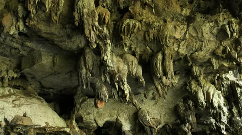 Kayaking to the caves and mangroves forest. Krabi province, Thailand. Stock Footage 37888236