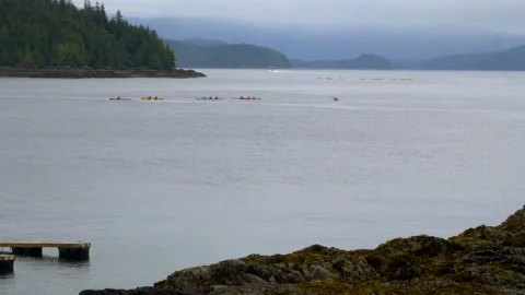 Kayaking at Clover Pass, Alaska Stock Footage 234039361