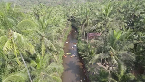 Kayaking at cola beach goa drone view Video stock 245840112