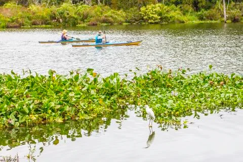 Kayaking couple Stock Photos