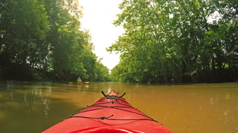 Kayaking on a creek Video stock 51724378