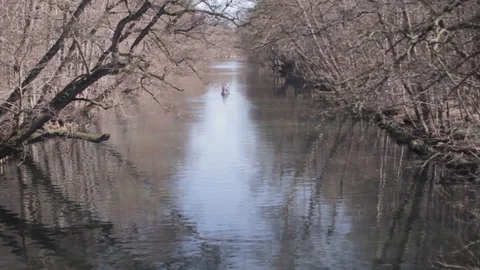 Kayaking on a danish river 動画素材 129729680