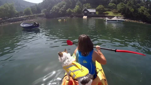 Kayaking with a dog Video stock 222020071