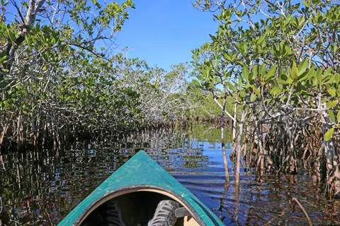 Kayaking in the Everglades Stock Photos