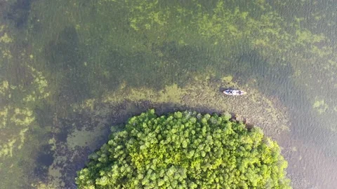 Kayaking in Florida Drone View Stock Footage 171633895