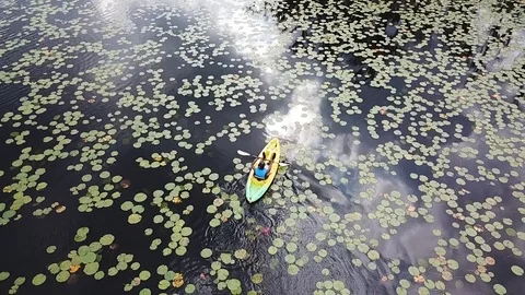 Kayaking in Florida Stock Footage 90207815