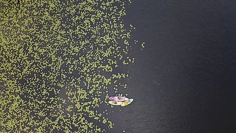 Kayaking in Florida Stock Footage