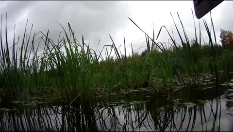 Kayaking 스톡 동영상 30650204