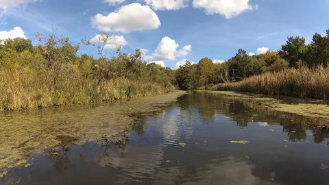 Kayaking Stock Footage 98801835