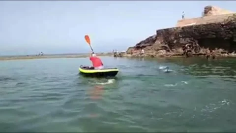 Kayaking Stock Footage 145597443