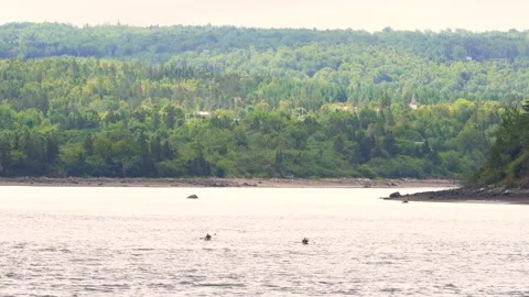 Kayaking Stock Footage 159433215