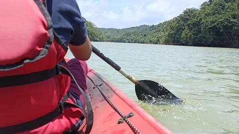 Kayaking Stock Footage 211803169