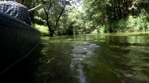 Kayaking on the forest river Stock Footage 84264553