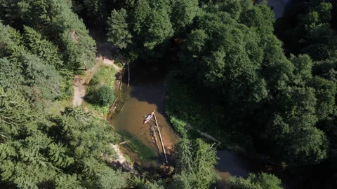 Kayaking on the forest river with obstacles aerial top down view Vídeo Stock 230472026