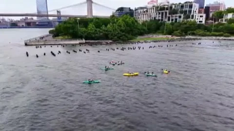 Kayaking Group on East River at Brooklyn Bridge Park, NYC Stock-Footage 343665317