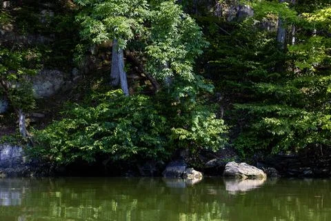 Kayaking Holston River at Warrior State Park, Tennessee, USA Stock Photos