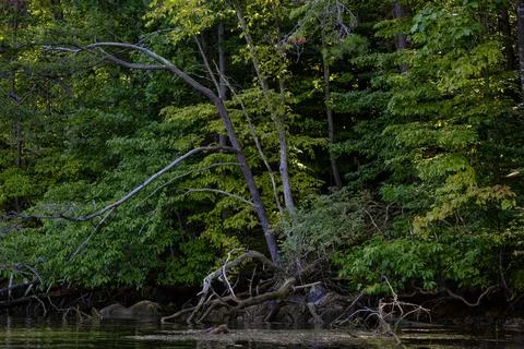 Kayaking Holston River at Warrior State Park, Tennessee, USA Stock Photos