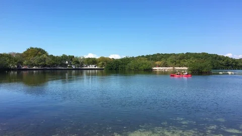 Kayaking Key Largo State Park Florida Video stock 74465692