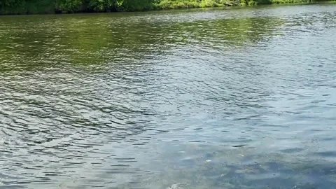 Kayaking in Kraków 動画素材 277739239