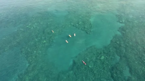 Kayaking  over coral reefs next to Highway 30 on Maui Stock Footage 158071253