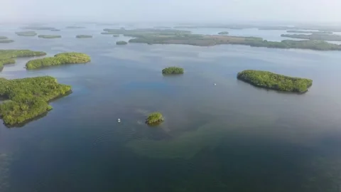 Kayaking in Ozello Keys, Florida Stock Footage 171633900