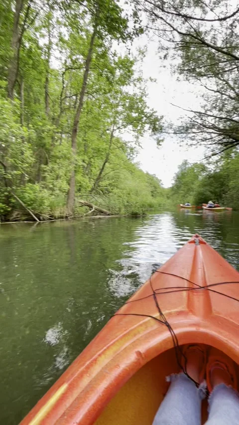 Kayaking on a quiet river Video stock 312275176
