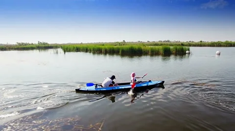 Kayaking on the river between the reeds Stock Footage 64347839
