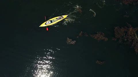 Kayaking on the river between the reeds Stock Footage 64348785