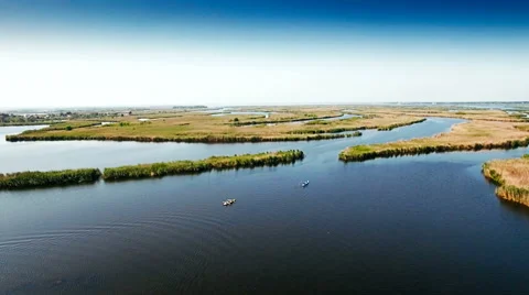 Kayaking on the river between the reeds Stock Footage 64351717