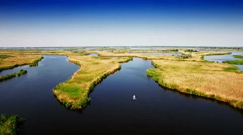 Kayaking on the river between the reeds Stock Footage 64352752